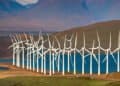 Trump’s Aversion to Green Tech Financing Risks Leaving America Last