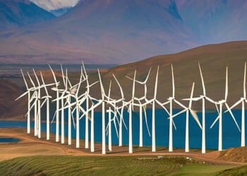 Trump’s Aversion to Green Tech Financing Risks Leaving America Last