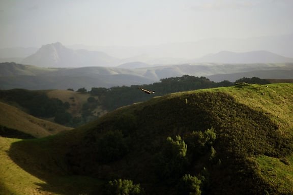 Hit by Unequal Extreme Heat in Cities– Black South Africans Retreat to Cooler Rural Homes