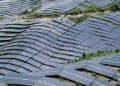 Africa Receives €15.5 Billion Boost for Renewable Energy Transition