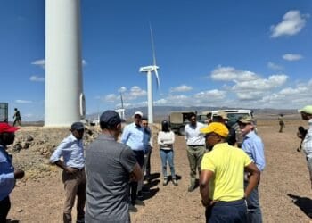 The Financiers and Startups Decarbonizing Africa’s ‘Anti-Fossil’ Fuel Nation