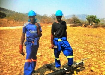 When the Lights Came On: Zimbabwe’s Rural Electrification and the Return of Local Wildlife