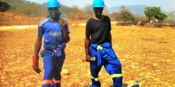 When the Lights Came On: Zimbabwe’s Rural Electrification and the Return of Local Wildlife