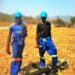 When the Lights Came On: Zimbabwe’s Rural Electrification and the Return of Local Wildlife