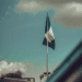 Nigeria’s Energy Transition: Who Decides, Who Benefits and Who Pays?