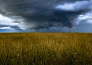 El Niño Is Testing Climate Infrastructure