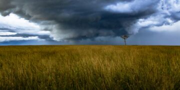 El Niño Is Testing Climate Infrastructure