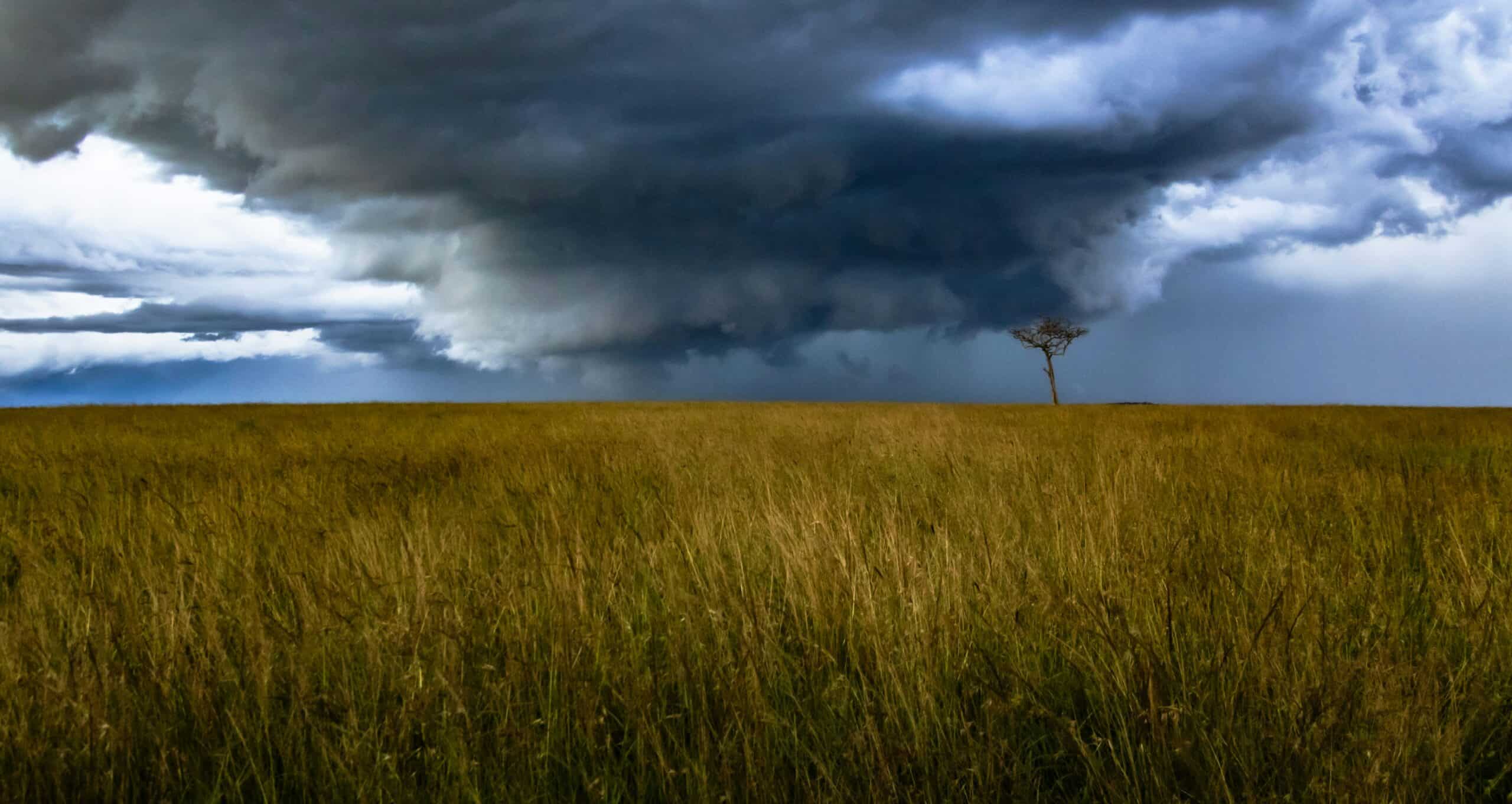 El Niño Is Testing Climate Infrastructure
