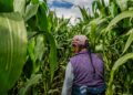 The Green Climate Fund’s Approach to Climate Finance