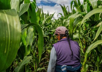 The Green Climate Fund’s Approach to Climate Finance