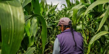 The Green Climate Fund’s Approach to Climate Finance
