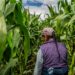 The Green Climate Fund’s Approach to Climate Finance
