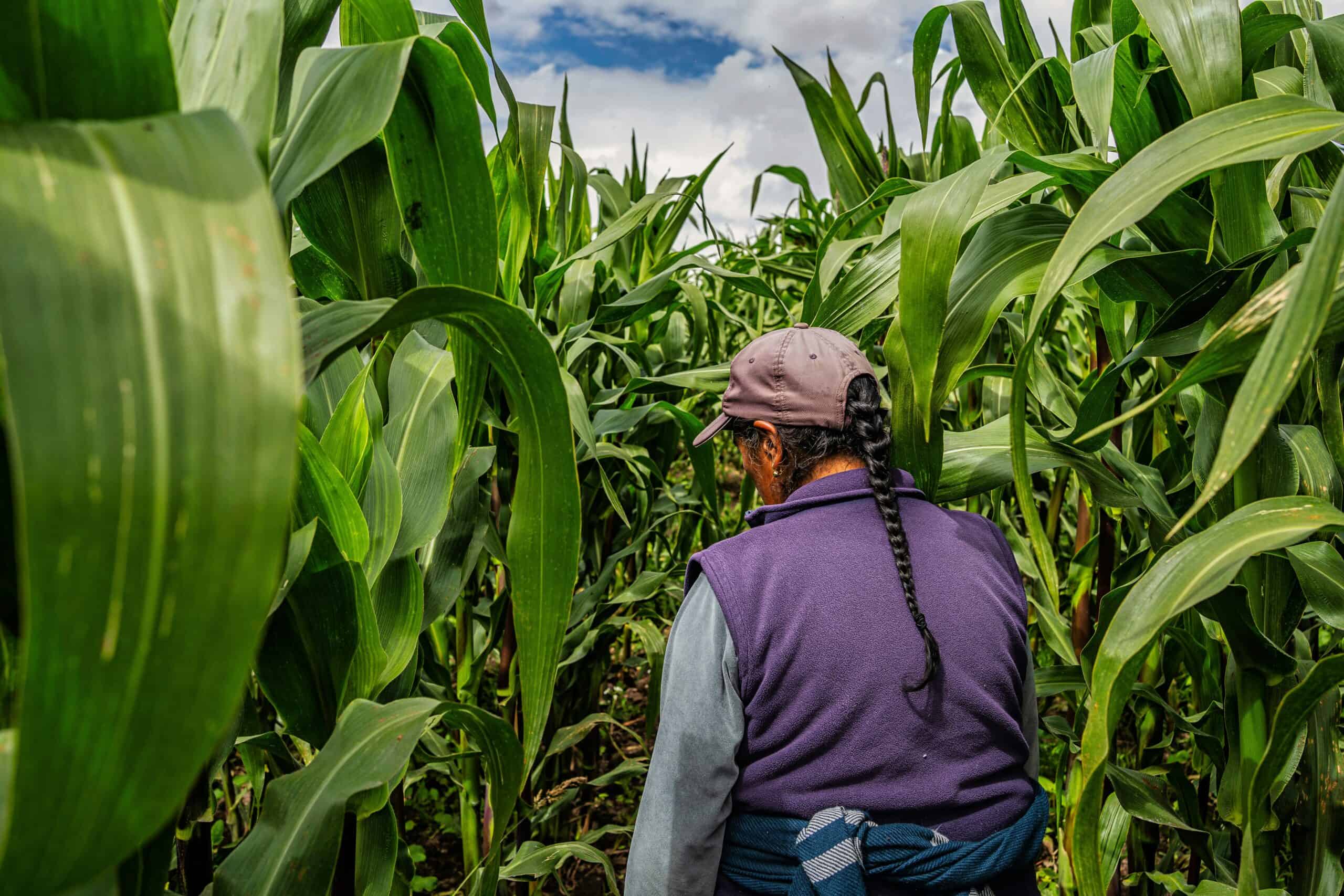 The Green Climate Fund’s Approach to Climate Finance