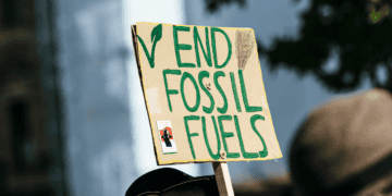 Reforming Government Fossil Fuel Subsidies