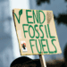 Reforming Government Fossil Fuel Subsidies