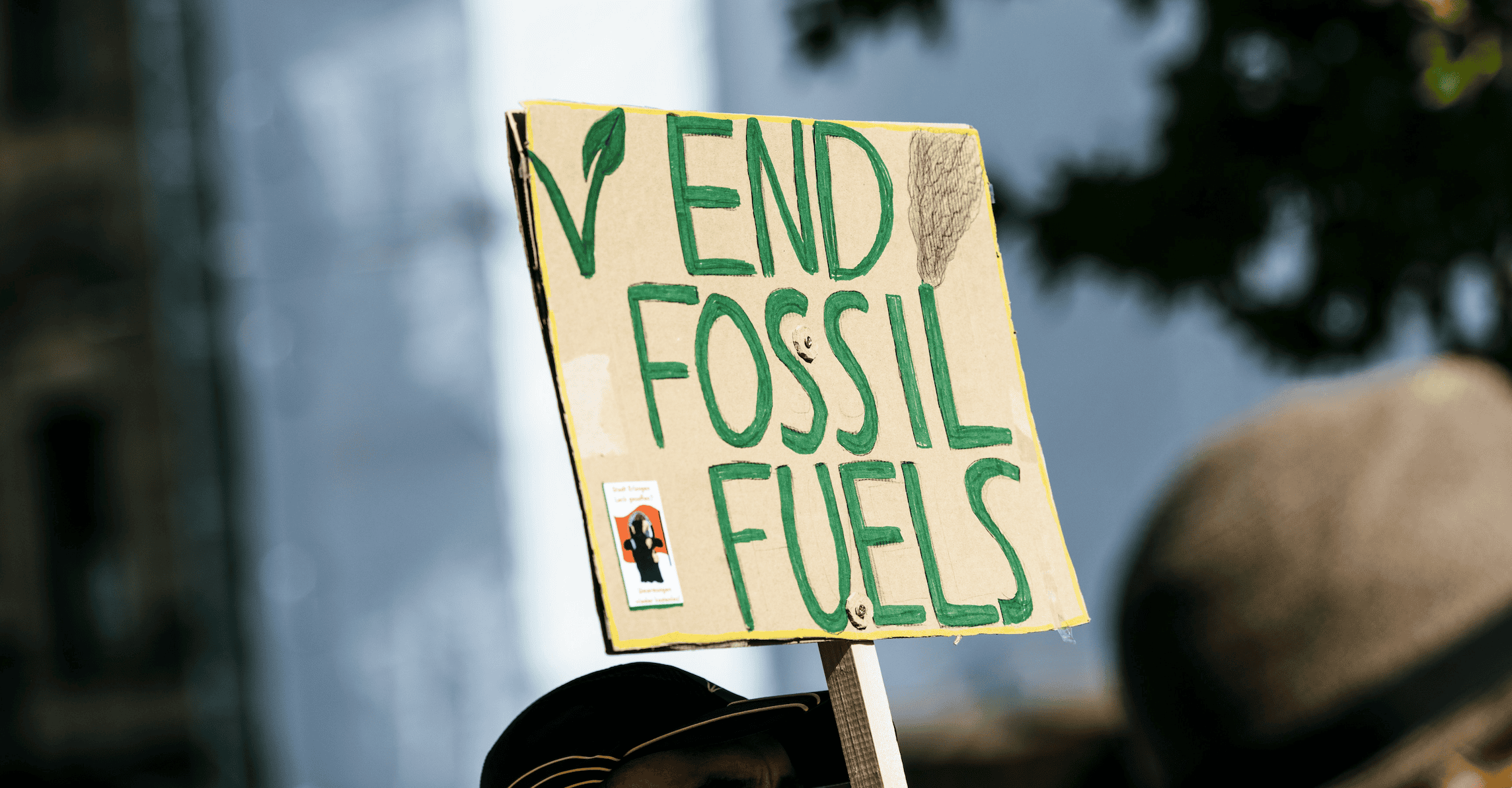 Reforming Government Fossil Fuel Subsidies