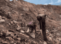 Africa’s Mineral Bargaining Power