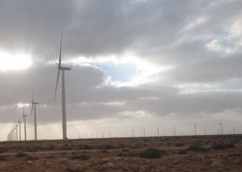 Closing the Circle: How Morocco Is Building a Wind Energy Supply Chain