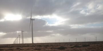 Closing the Circle: How Morocco Is Building a Wind Energy Supply Chain