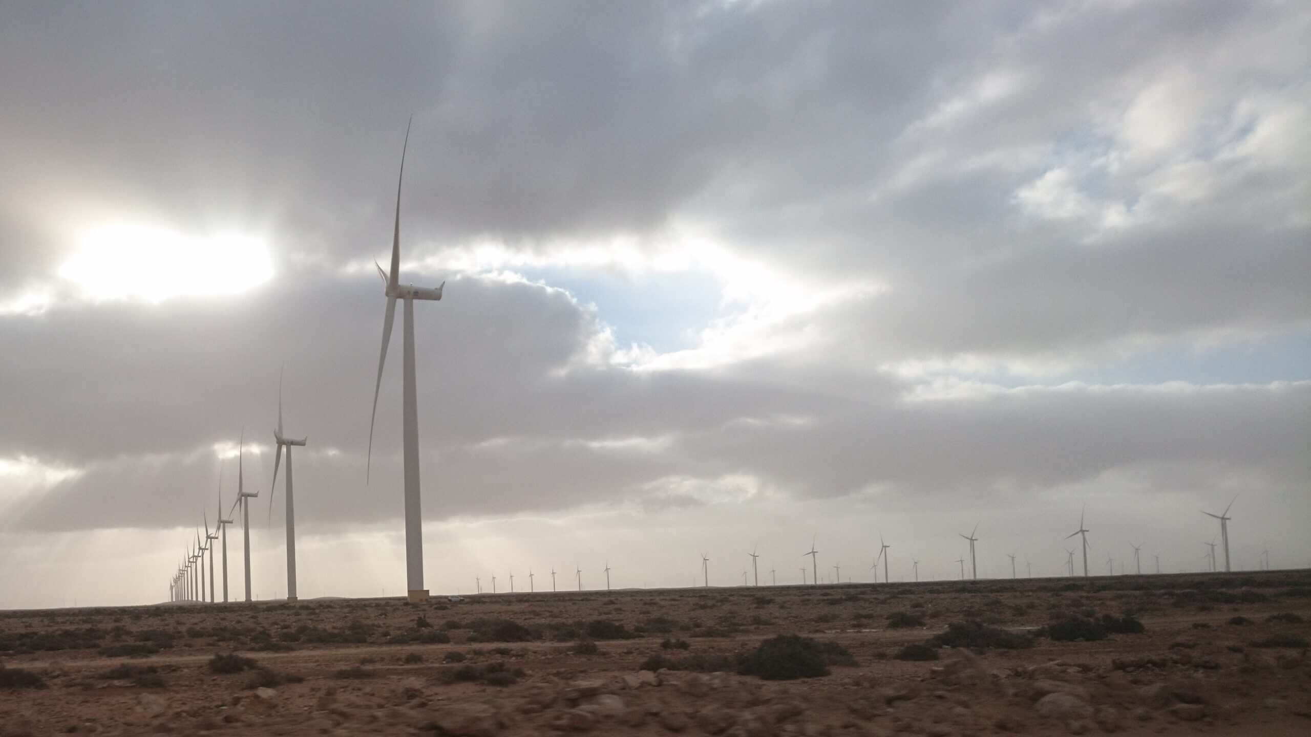 Closing the Circle: How Morocco Is Building a Wind Energy Supply Chain