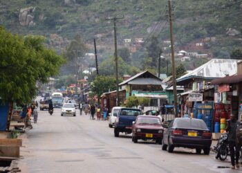 The Power of Commitment: How Government Investment Accelerated Electrification in Tanzania