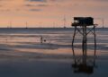 How the Viet Nam-Thailand-Malaysia-Singapore Framework Could Accelerate ASEAN Power Grid Integration