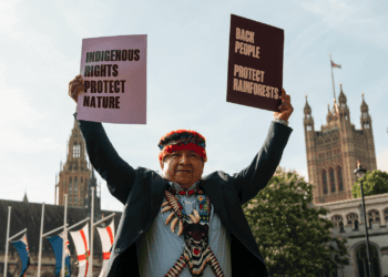 A Resilient Rainforest Depends on Indigenous Communities