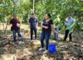 AI Can Scale Regenerative Agriculture – If Farmers Trust It