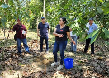AI Can Scale Regenerative Agriculture – If Farmers Trust It