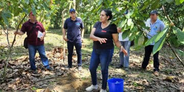 AI Can Scale Regenerative Agriculture – If Farmers Trust It