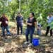 AI Can Scale Regenerative Agriculture – If Farmers Trust It