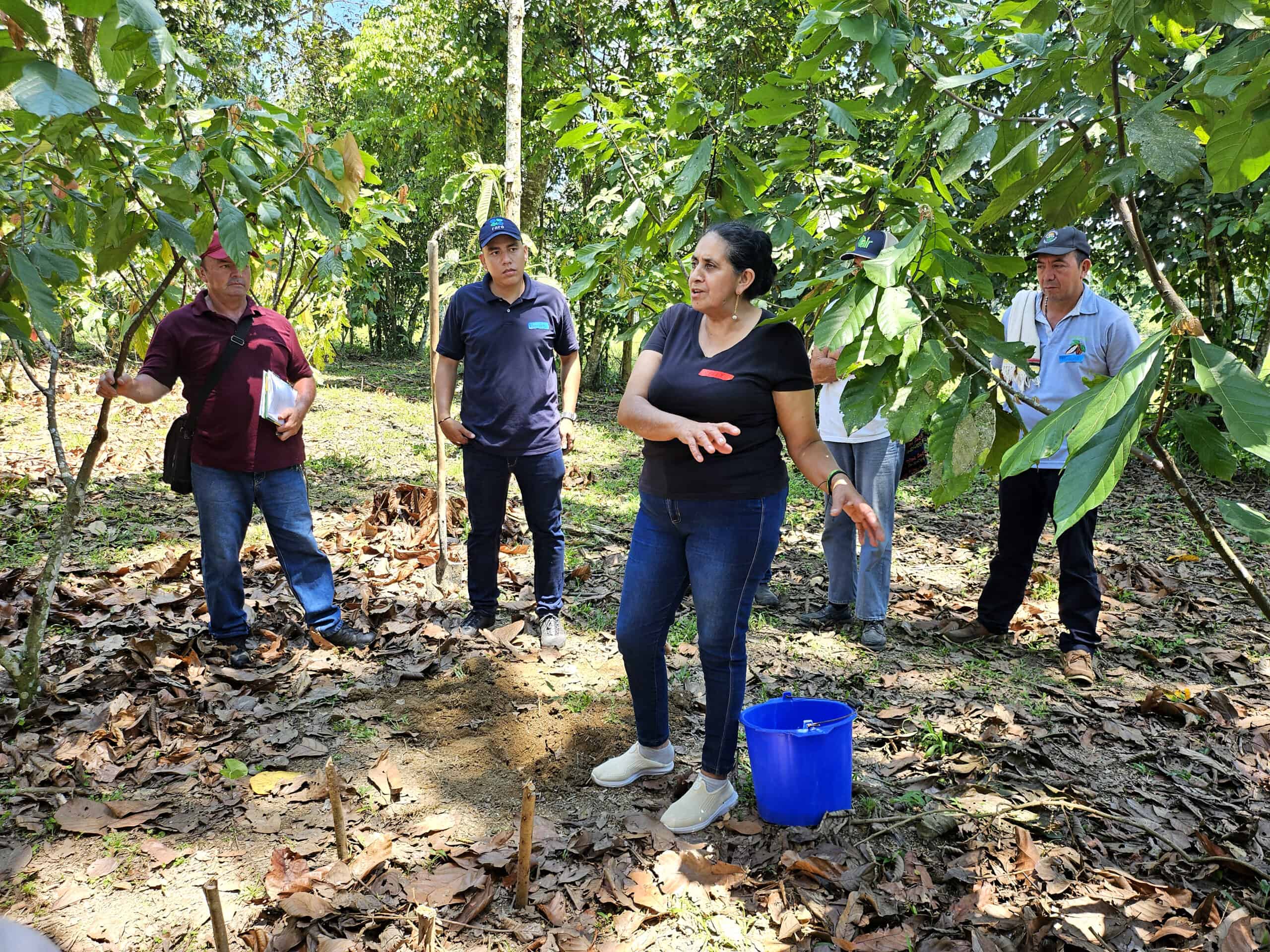 AI Can Scale Regenerative Agriculture – If Farmers Trust It