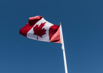 Trump Trade War Could Be a Catalyst to Speed Canada’s Energy Transition, Experts Say
