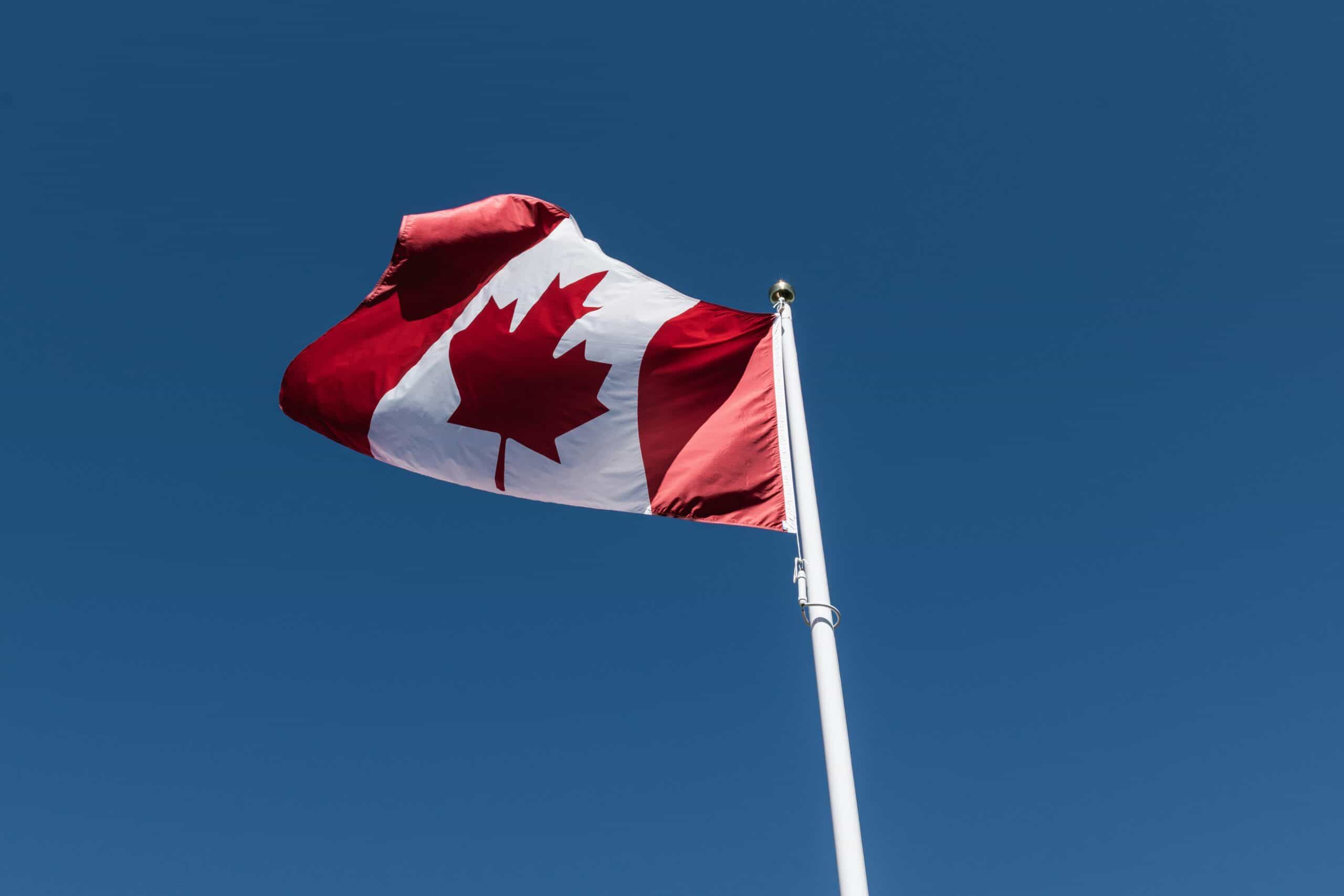 Trump Trade War Could Be a Catalyst to Speed Canada’s Energy Transition, Experts Say