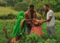 Solar Brings Long-Awaited Water to Ethiopian Farmers