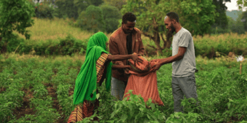 Solar Brings Long-Awaited Water to Ethiopian Farmers