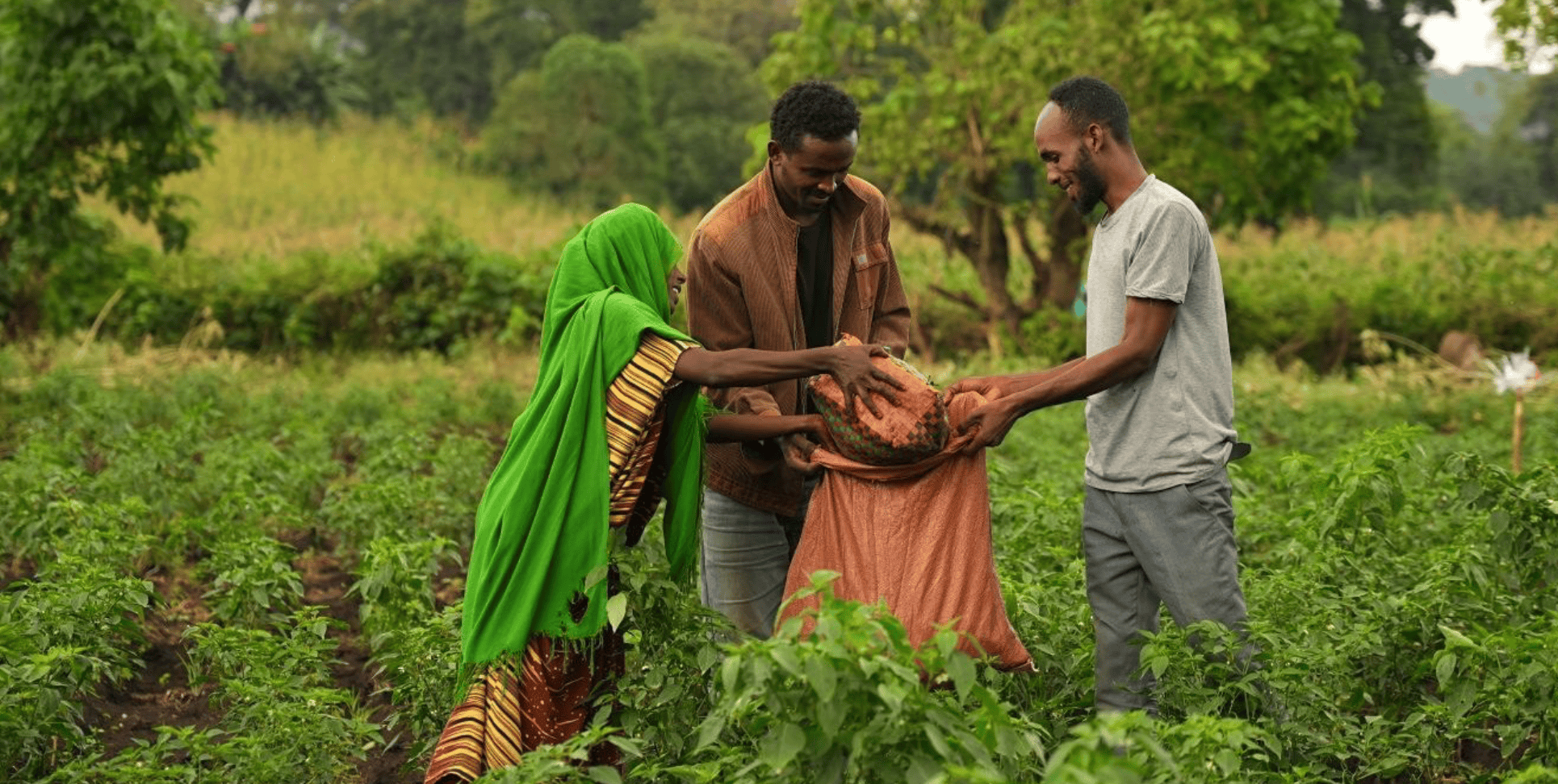 Solar Brings Long-Awaited Water to Ethiopian Farmers