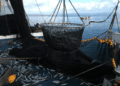 Building a Sustainable Blue Economy: Shipping, Fishing and Ocean Protection
