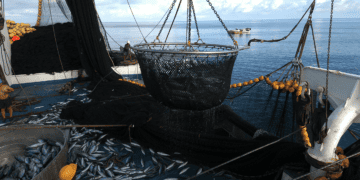 Building a Sustainable Blue Economy: Shipping, Fishing and Ocean Protection