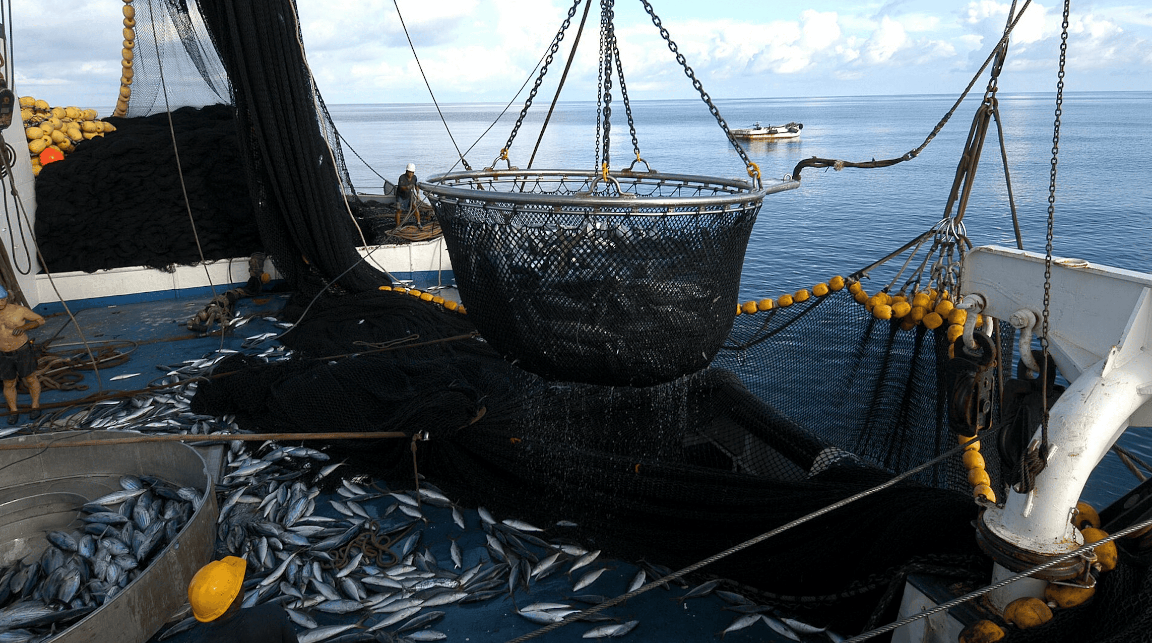 Building a Sustainable Blue Economy: Shipping, Fishing and Ocean Protection